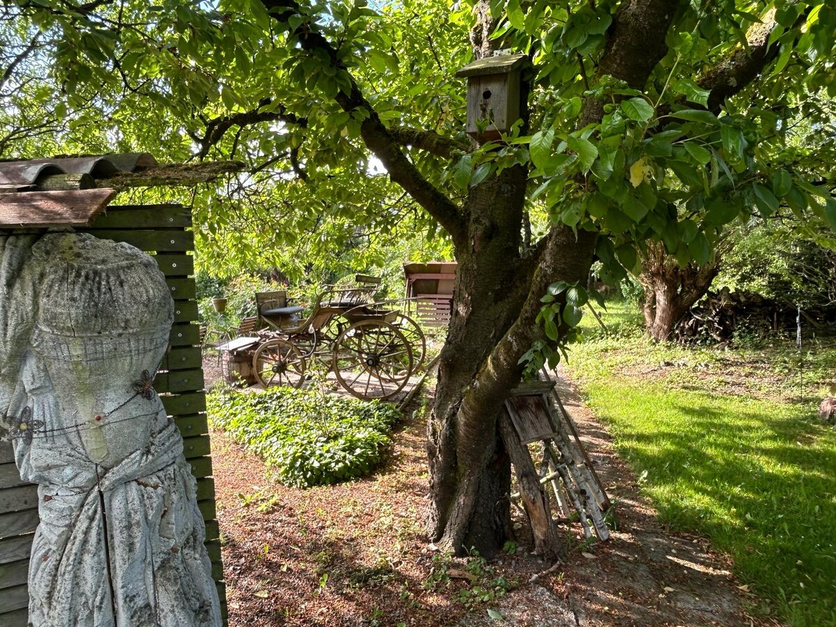 Knusperhäuschen Foto 22