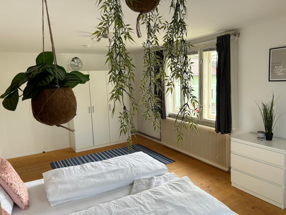 Knusperhäuschen Foto 3