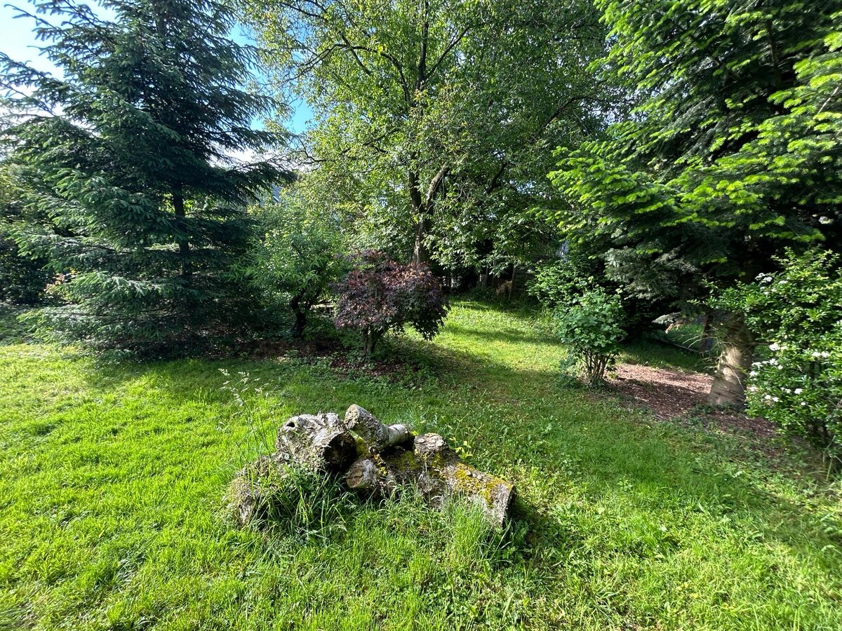 Knusperhäuschen Foto 30